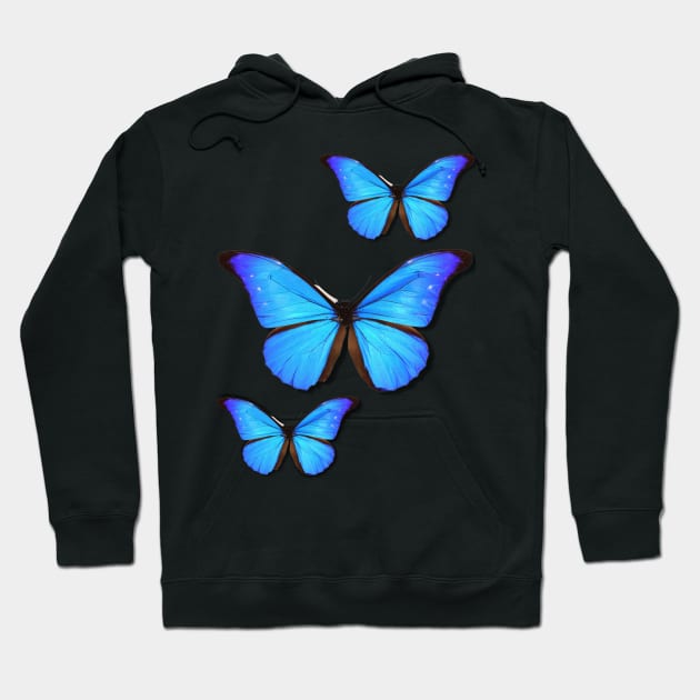 Rhetenor Blue Morpho (Morpho rhetenor) Hoodie by RosMir